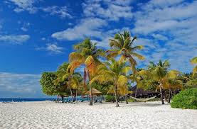 Tour Destination Image